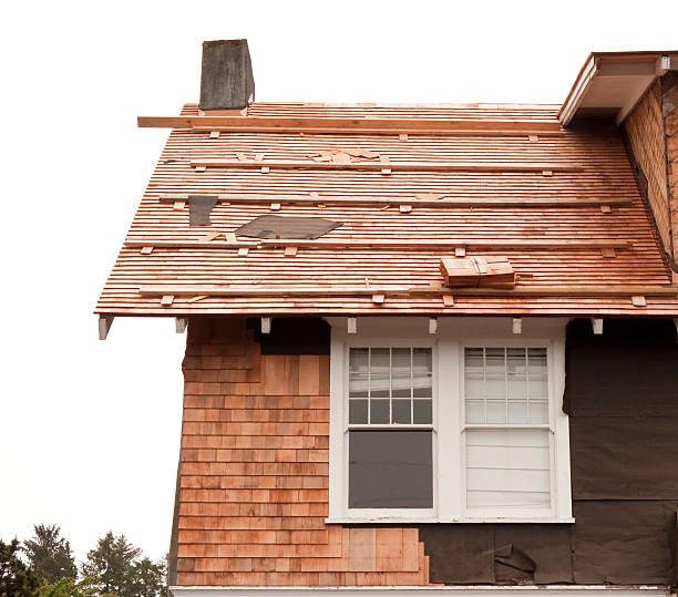 Affordable Siding Repair and Maintenance Services in Williamston, SC